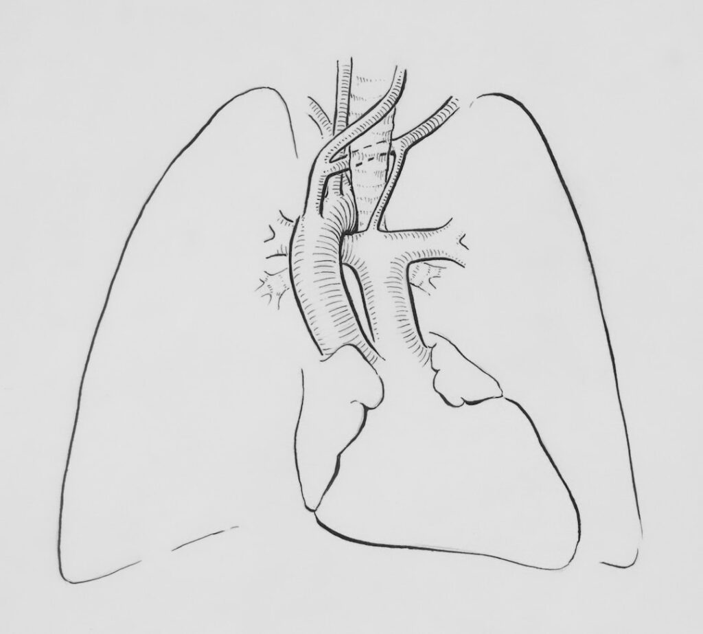 Photo Medical diagram