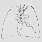 Photo Medical diagram